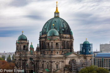 Blick auf Berliner Dom   Berlin Deutschland by Peter Ehlert in Sause in Berlin 2023