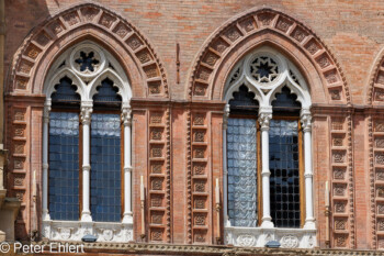 Fenster  Bologna Metropolitanstadt Bologna Italien by Peter Ehlert in