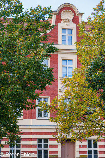 Häuser im Holländerviertel  Potsdam Brandenburg Deutschland by Peter Ehlert in Sause in Berlin 2023