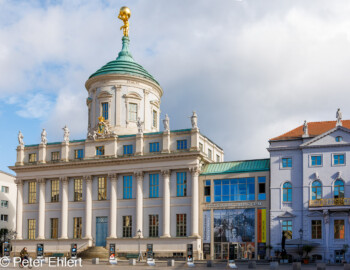 Potsdam Museum  Potsdam Brandenburg Deutschland by Peter Ehlert in Sause in Berlin 2023