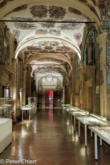 Bibliotheksgang  Bologna Metropolitanstadt Bologna Italien by Peter Ehlert in