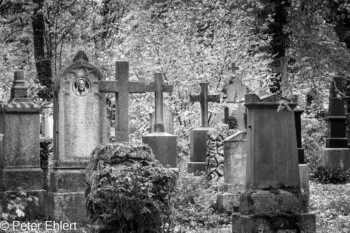 Grabsteine und Figuren  München Bayern Deutschland by Peter Ehlert in Fotowalk_Südfriedhof