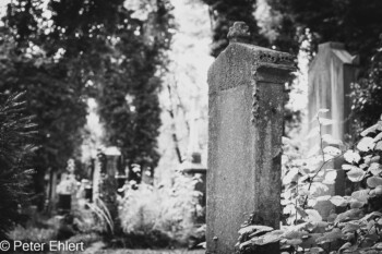 Grabsteine und Figuren  München Bayern Deutschland by Peter Ehlert in Fotowalk_Südfriedhof