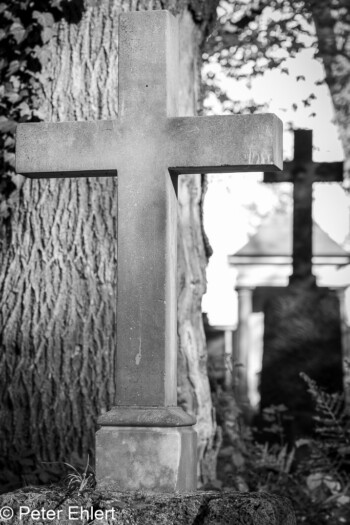 Grabsteine und Figuren  München Bayern Deutschland by Peter Ehlert in Fotowalk_Südfriedhof