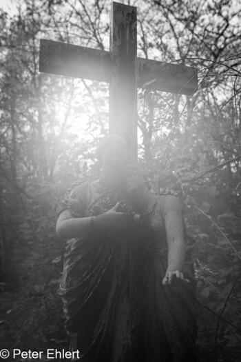 Grabsteine und Figuren  München Bayern Deutschland by Peter Ehlert in Fotowalk_Südfriedhof