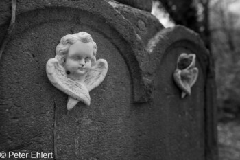 Grabsteine und Figuren  München Bayern Deutschland by Peter Ehlert in Fotowalk_Südfriedhof