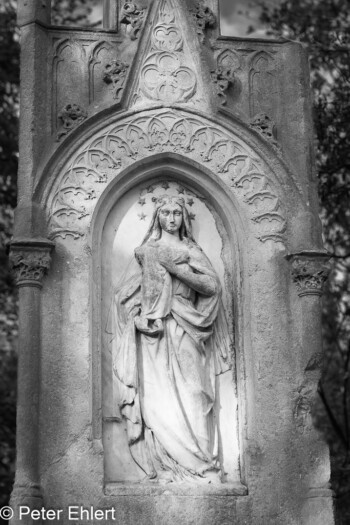 Grabstätten  München Bayern Deutschland by Peter Ehlert in Fotowalk_Südfriedhof