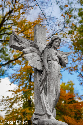 Skulpturen  München Bayern Deutschland by Peter Ehlert in Fotowalk_Südfriedhof