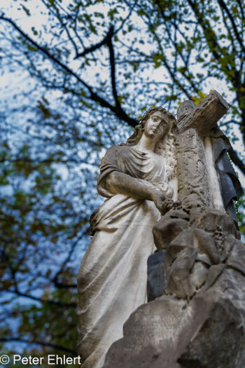 Skulpturen  München Bayern Deutschland by Peter Ehlert in Fotowalk_Südfriedhof