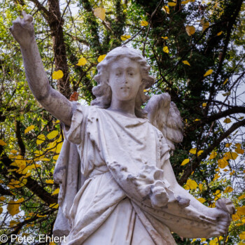 Skulpturen  München Bayern Deutschland by Peter Ehlert in Fotowalk_Südfriedhof