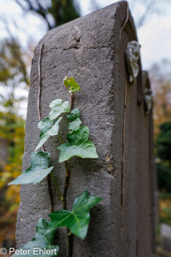 Grabstätten  München Bayern Deutschland by Peter Ehlert in Fotowalk_Südfriedhof