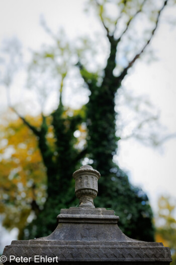 Grabstätten  München Bayern Deutschland by Peter Ehlert in Fotowalk_Südfriedhof