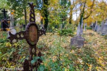 Grabstätten  München Bayern Deutschland by Peter Ehlert in Fotowalk_Südfriedhof