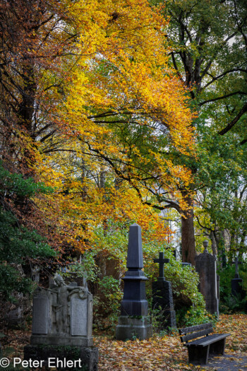 Grabstätten  München Bayern Deutschland by Peter Ehlert in Fotowalk_Südfriedhof