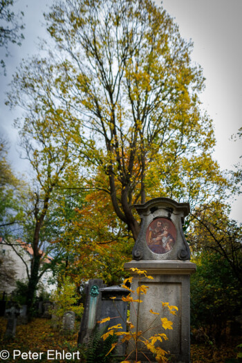 Grabstätten  München Bayern Deutschland by Peter Ehlert in Fotowalk_Südfriedhof