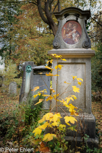 Grabstätten  München Bayern Deutschland by Peter Ehlert in Fotowalk_Südfriedhof