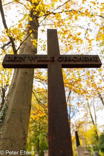 Grabstätten  München Bayern Deutschland by Peter Ehlert in Fotowalk_Südfriedhof