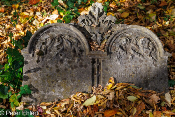 Grabstätten  München Bayern Deutschland by Peter Ehlert in Fotowalk_Südfriedhof