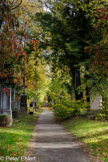 Weg  München Bayern Deutschland by Peter Ehlert in Fotowalk_Südfriedhof