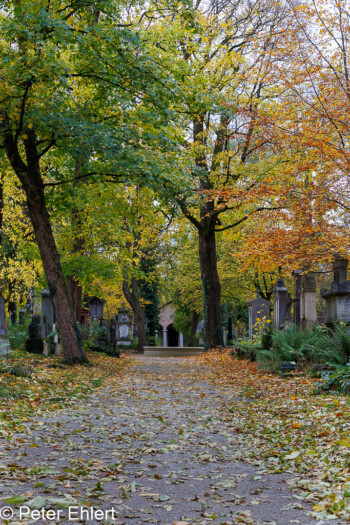 Weg  München Bayern Deutschland by Peter Ehlert in Fotowalk_Südfriedhof