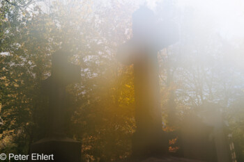 Grabstätten  München Bayern Deutschland by Peter Ehlert in Fotowalk_Südfriedhof