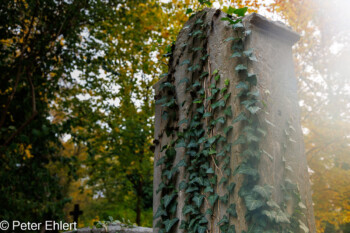 Grabstätten  München Bayern Deutschland by Peter Ehlert in Fotowalk_Südfriedhof