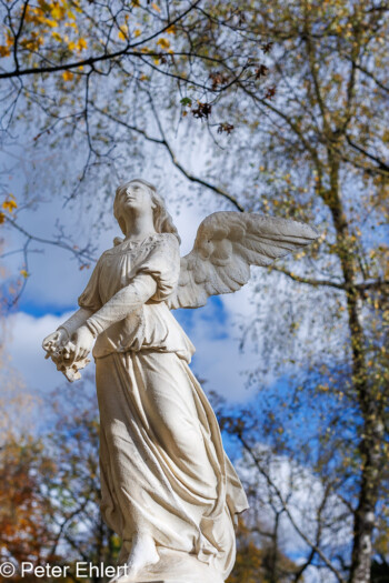 Skulpturen  München Bayern Deutschland by Peter Ehlert in Fotowalk_Südfriedhof