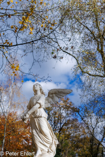 Skulpturen  München Bayern Deutschland by Peter Ehlert in Fotowalk_Südfriedhof