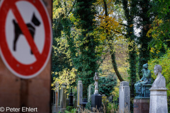 Grabstätten  München Bayern Deutschland by Peter Ehlert in Fotowalk_Südfriedhof