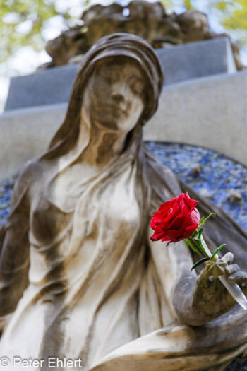 Skulpturen  München Bayern Deutschland by Peter Ehlert in Fotowalk_Südfriedhof