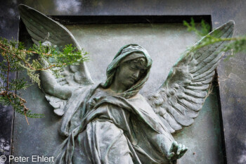 Skulpturen  München Bayern Deutschland by Peter Ehlert in Fotowalk_Südfriedhof