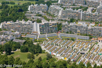 Blick auf Olympiadorf  München Bayern Deutschland by Peter Ehlert in MUC-OLY-Dorf