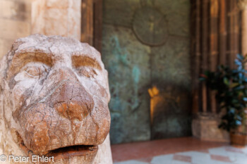 Löwe am Eingang  Bozen Südtirol Italien by Peter Ehlert in Bozen - Bolzano