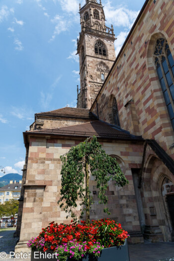 Blumenkästen mit Sitzbank  Bozen Südtirol Italien by Peter Ehlert in Bozen - Bolzano