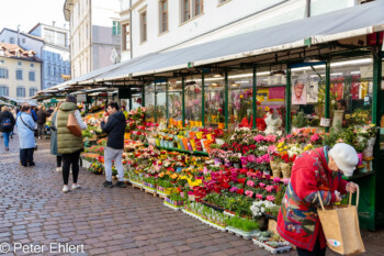 Markt  Bozen Südtirol Italien by Peter Ehlert in Bozen - Bolzano