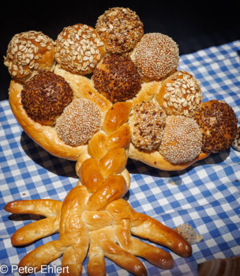 Brotbaum  Bozen Südtirol Italien by Peter Ehlert in Bozen - Bolzano