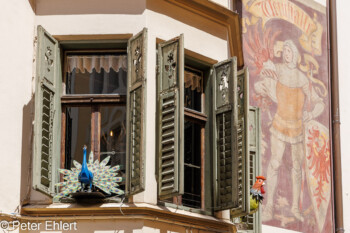 Fassade Torgglhaus  Bozen Südtirol Italien by Peter Ehlert in Bozen - Bolzano