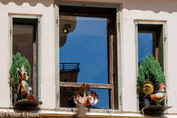 Fassade Torgglhaus  Bozen Südtirol Italien by Peter Ehlert in Bozen - Bolzano