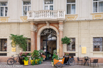 Dekorationsgeschäft  Bozen Südtirol Italien by Peter Ehlert in Bozen - Bolzano