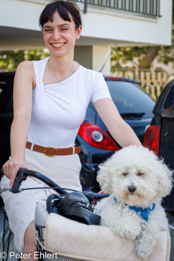 Frau mit Hund auf Fahrrad  Bellaria-Igea Marina Provinz Rimini Italien by Peter Ehlert in Wellness in Bellaria