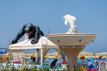 Delfin und Gorilla  San Mauro Pascoli Provinz Forlì-Cesena Italien by Peter Ehlert in Wellness in Bellaria