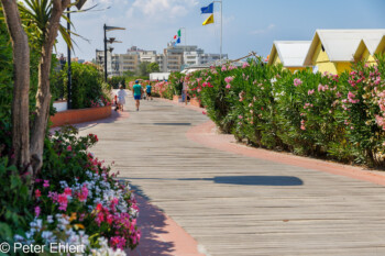 Oleanderweg  Savignano sul Rubicone Provinz Forlì-Cesena Italien by Peter Ehlert in Wellness in Bellaria