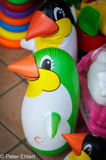 Wasserspielzeug Pinguine  Bellaria-Igea Marina Provinz Rimini Italien by Peter Ehlert in Wellness in Bellaria