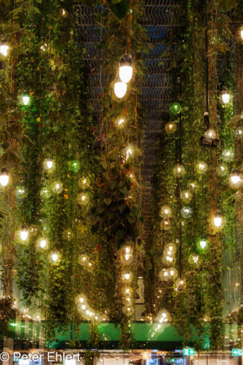 Deckenlichter  München Bayern Deutschland by Peter Ehlert in