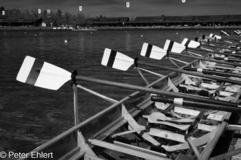Ruderblätter  Oberschleißheim Bayern Deutschland by Peter Ehlert in Fotowalk_SW_Regatta-4