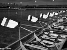 Ruderblätter  Oberschleißheim Bayern Deutschland by Peter Ehlert in Fotowalk_SW_Regatta-4