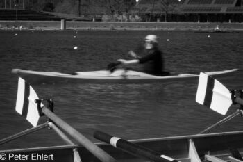 Speedkanu  Oberschleißheim Bayern Deutschland by Peter Ehlert in Fotowalk_SW_Regatta-4