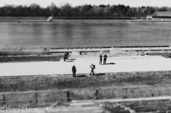 Visitors (small)  Oberschleißheim Bayern Deutschland by Peter Ehlert in Fotowalk_SW_Regatta-4