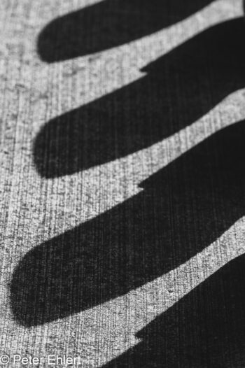 Schatten  Oberschleißheim Bayern Deutschland by Peter Ehlert in Fotowalk_SW_Regatta-4