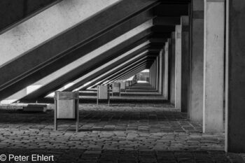 Tribünendurchblick 1  Oberschleißheim Bayern Deutschland by Peter Ehlert in Fotowalk_SW_Regatta-4